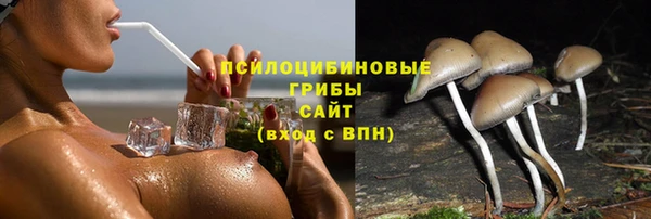 гидра Алзамай