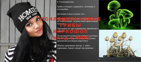 гидра Алзамай